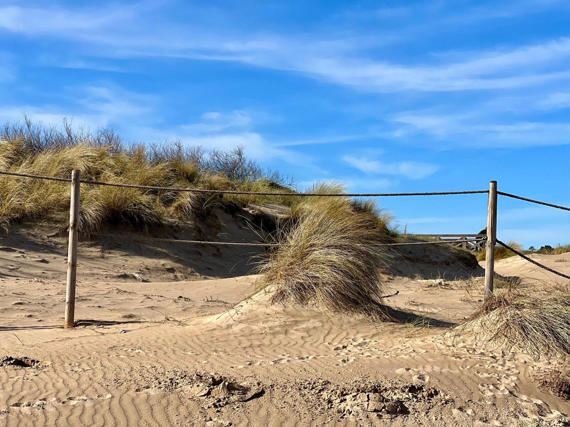 Apartamento Dama Suances Buitenkant foto